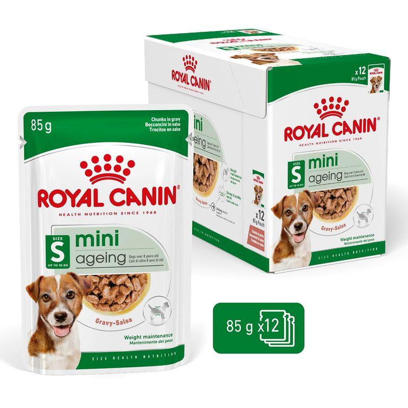 Zooplus Royal Canin Mini Ageing umido in salsa per cane Offerta speciale