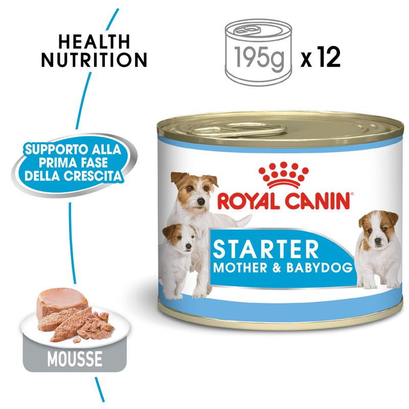 Zooplus Royal Canin Starter Mousse Mother & Babydog umido per cane Comprare a buon mercato