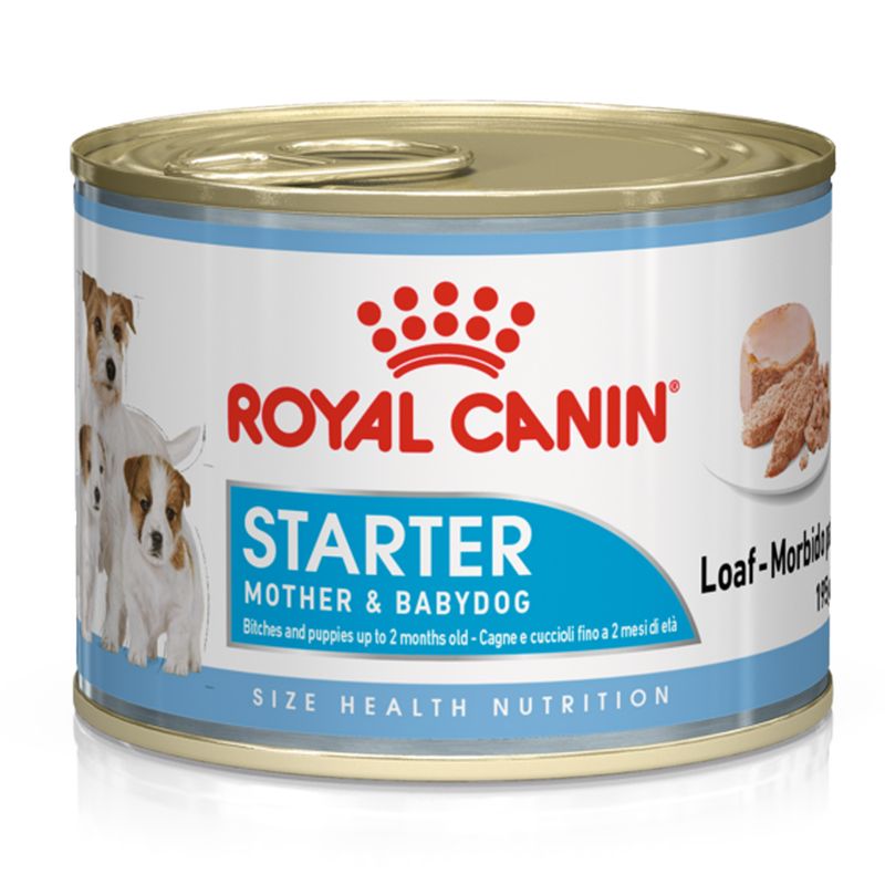 Zooplus Royal Canin Starter Mousse Mother & Babydog umido per cane Comprare a buon mercato