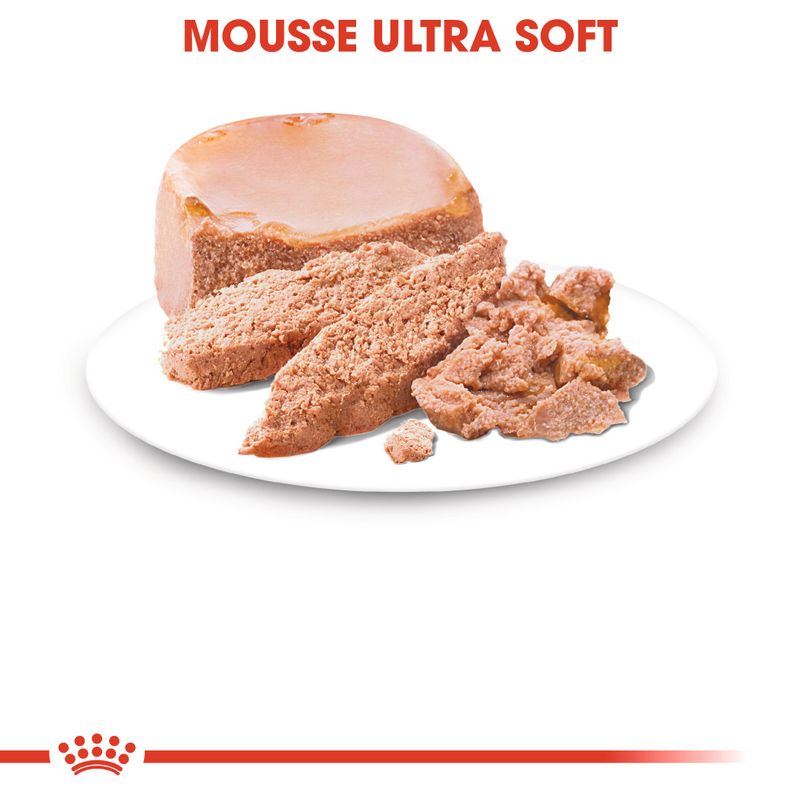 Zooplus Royal Canin Starter Mousse Mother & Babydog umido per cane Comprare a buon mercato