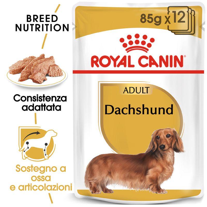 Zooplus Royal Canin Bassotto (Dachshund) Adult Patè umido per cane