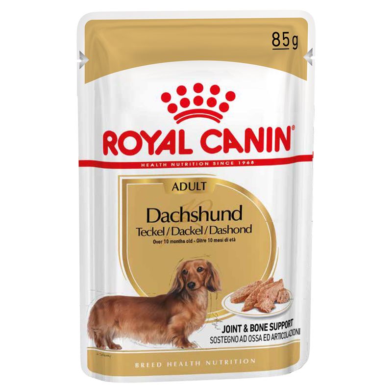 Zooplus Royal Canin Bassotto (Dachshund) Adult Patè umido per cane Fornitura limitata
