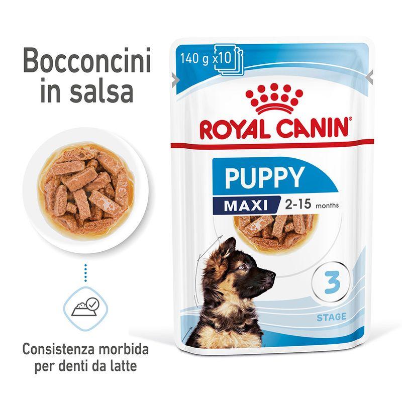 Zooplus Royal Canin Maxi Puppy umido in salsa per cane