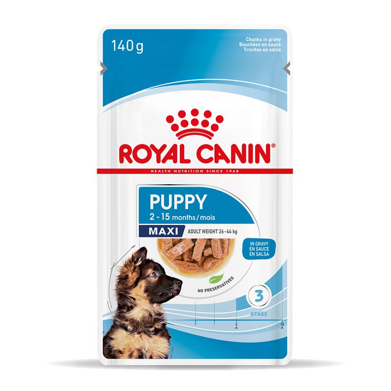 Zooplus Royal Canin Maxi Puppy umido in salsa per cane Shopping online