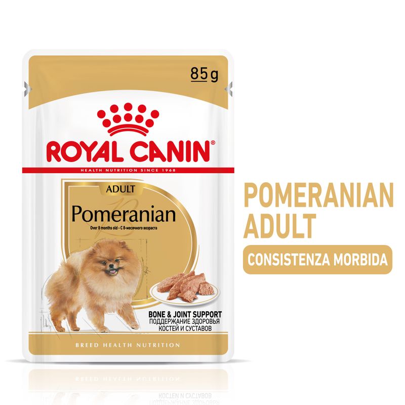 Zooplus Royal Canin Vopino di Pomerania (Pomeranian) Adult Patè umido per cane