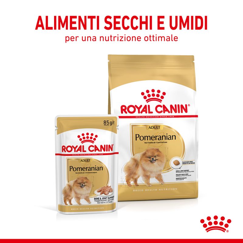 Zooplus Royal Canin Vopino di Pomerania (Pomeranian) Adult Patè umido per cane Offerta esclusiva