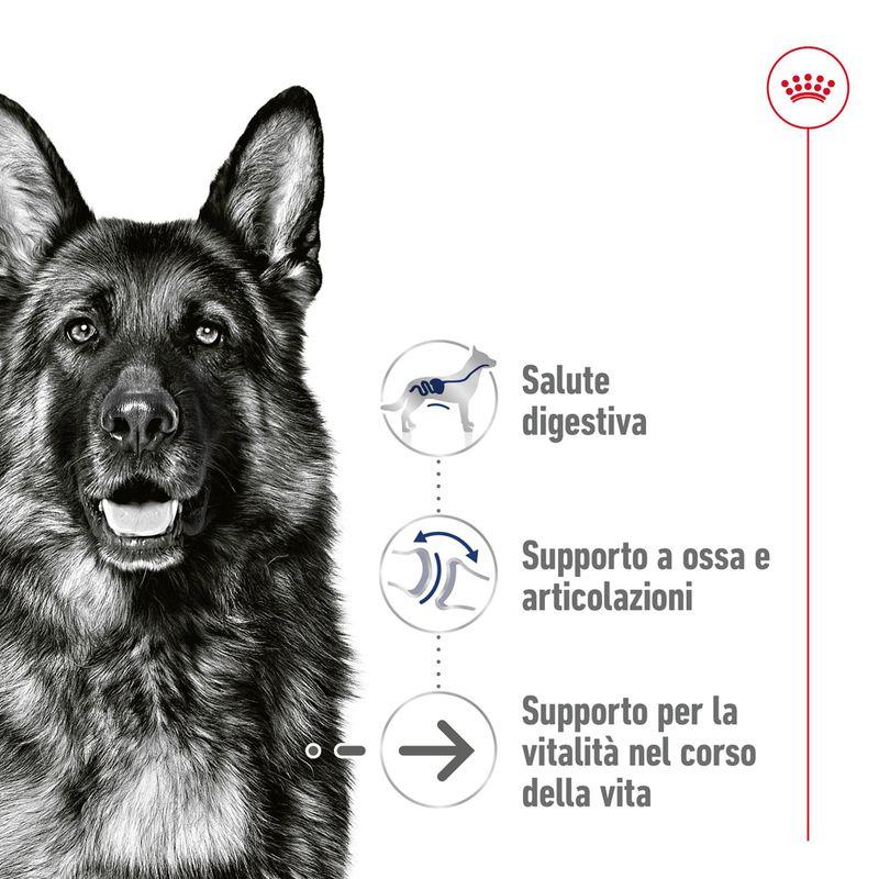 Zooplus Royal Canin Maxi Ageing umido in salsa per cane Black Friday