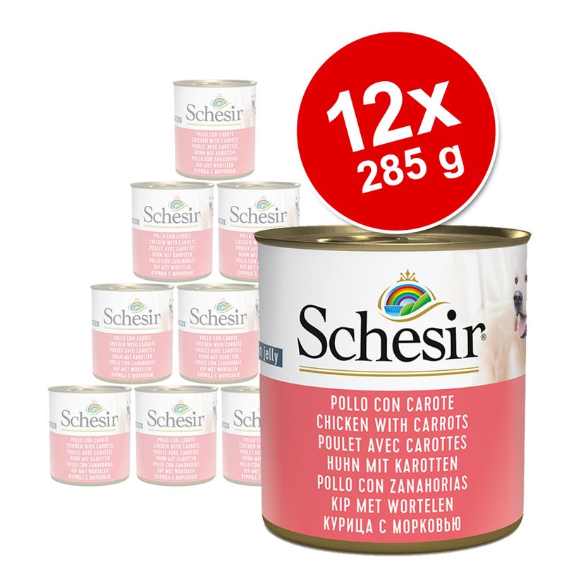 Zooplus Schesir 12 x 285 g Alimento umido per cani