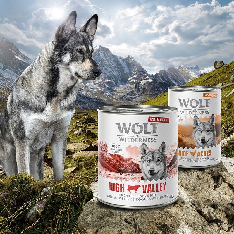 Zooplus Set Risparmio Wolf of Wilderness "Carne allevata all'aperto" 24 x 400 g Ultimi tre giorni