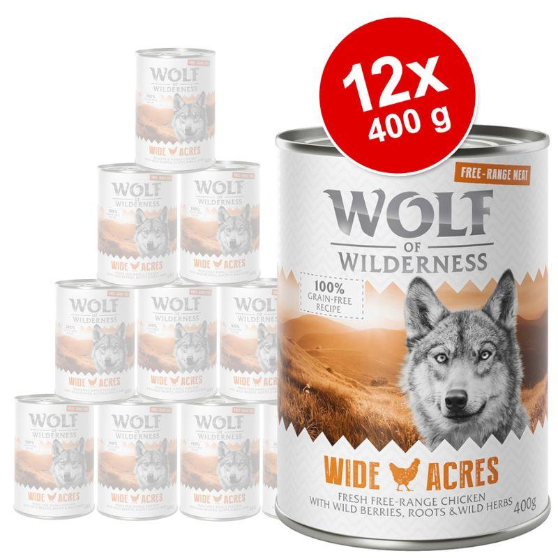 Zooplus Set Risparmio Wolf of Wilderness "Carne allevata all'aperto" 12 x 400 g