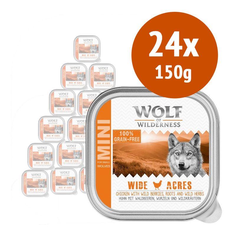 Zooplus Wolf of Wilderness MINI Adult 24 x 150 g Alimento umido per cani