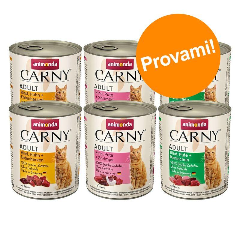 Zooplus Set prova animonda Carny Adult 6 x 800 g