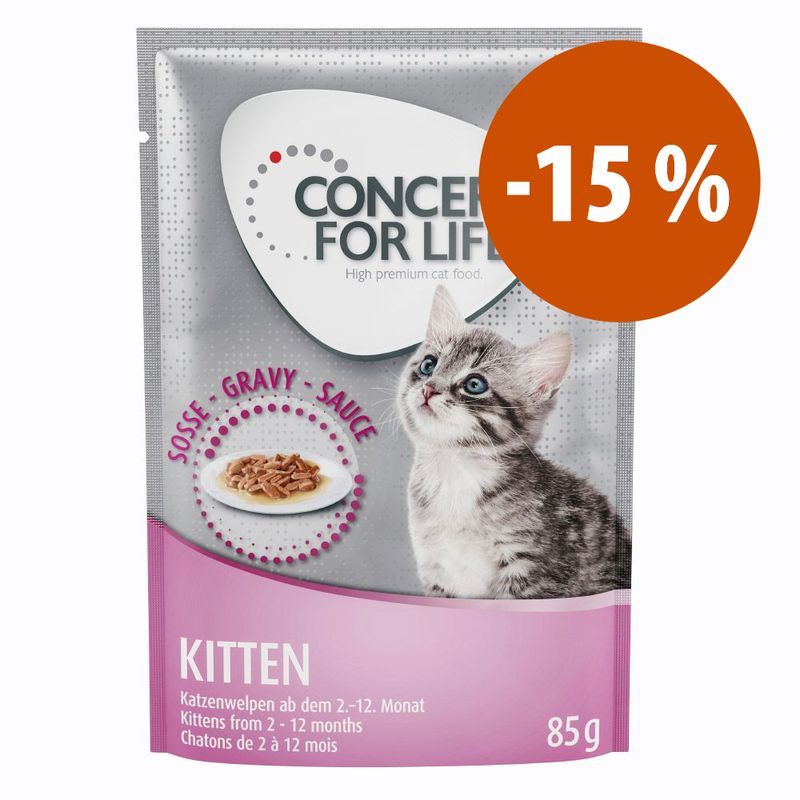 Zooplus Prezzo speciale 12 x 85 g Concept for Life Kitten Umido