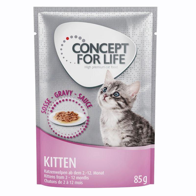Zooplus Prezzo speciale 12 x 85 g Concept for Life Kitten Umido Latest fashion