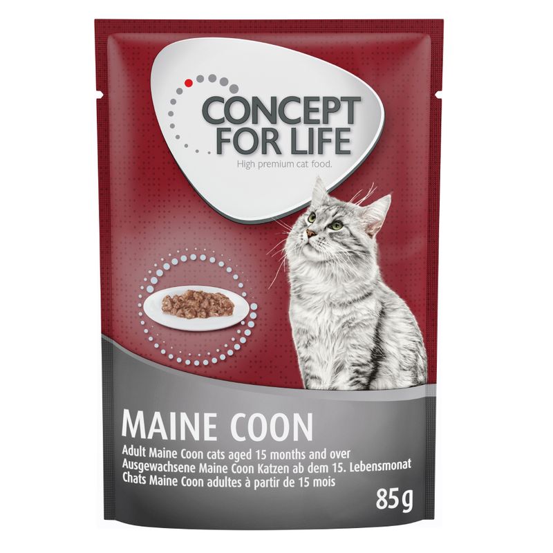 Zooplus Concept for Life Maine Coon Adult (a base di pregiato ragù)