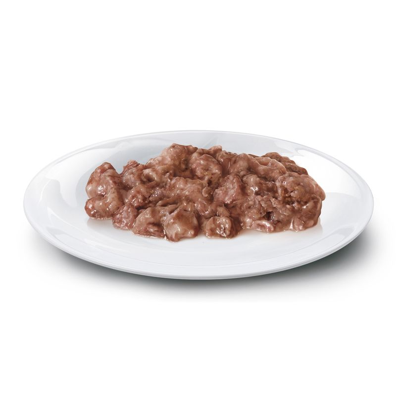 Zooplus Concept for Life Maine Coon Adult (a base di pregiato ragù) Bestseller