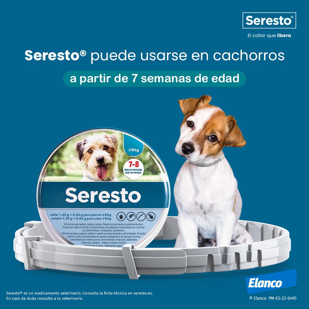 Miscota Seresto Collare Antiparassitario per Cani <8 Kg Vendita Calda