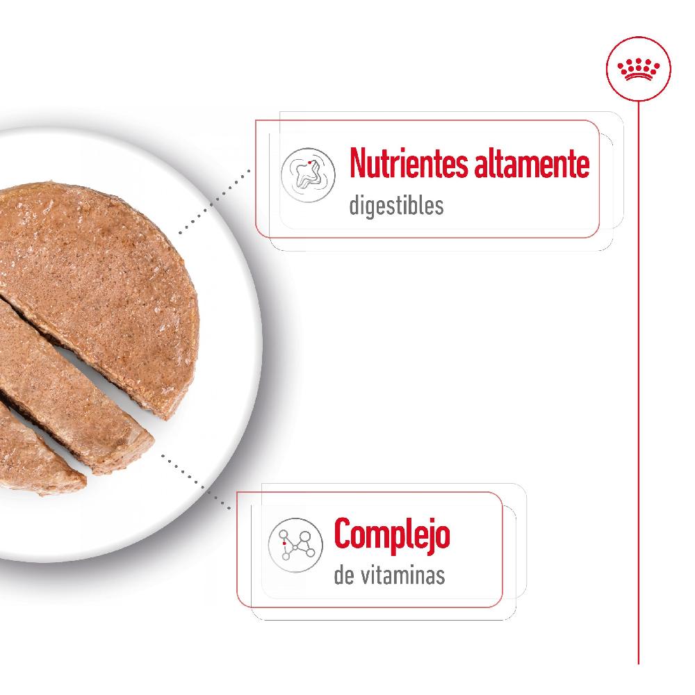 Miscota Royal Canin Mini Adult Alimento Umido in Patè per Cani I Più Venduti