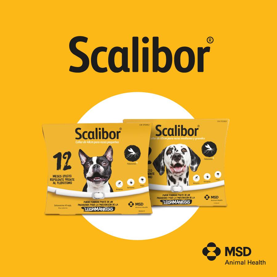 Miscota Scalibor Collare Antiparassitario per Cani Negozio