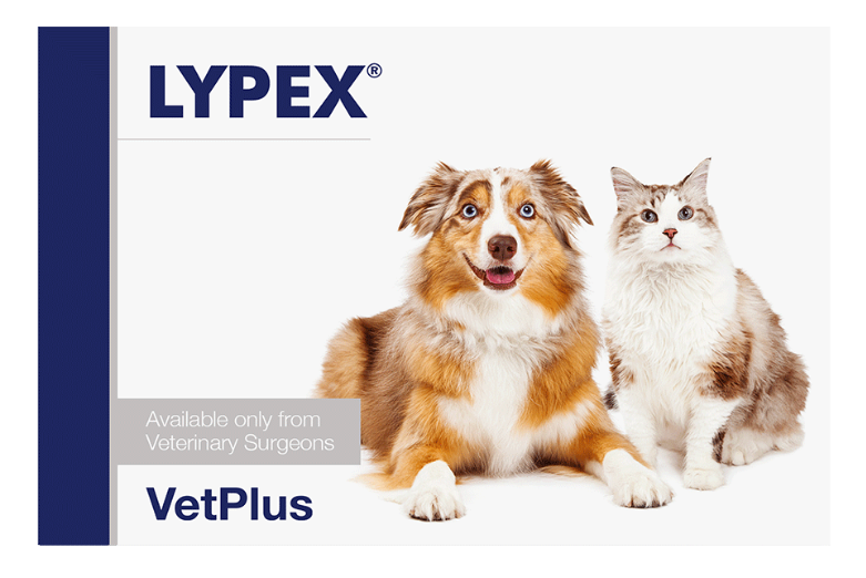 Miscota VetPlus Lypex per Problemi Pancreatici in Cani e Gatti Nuova