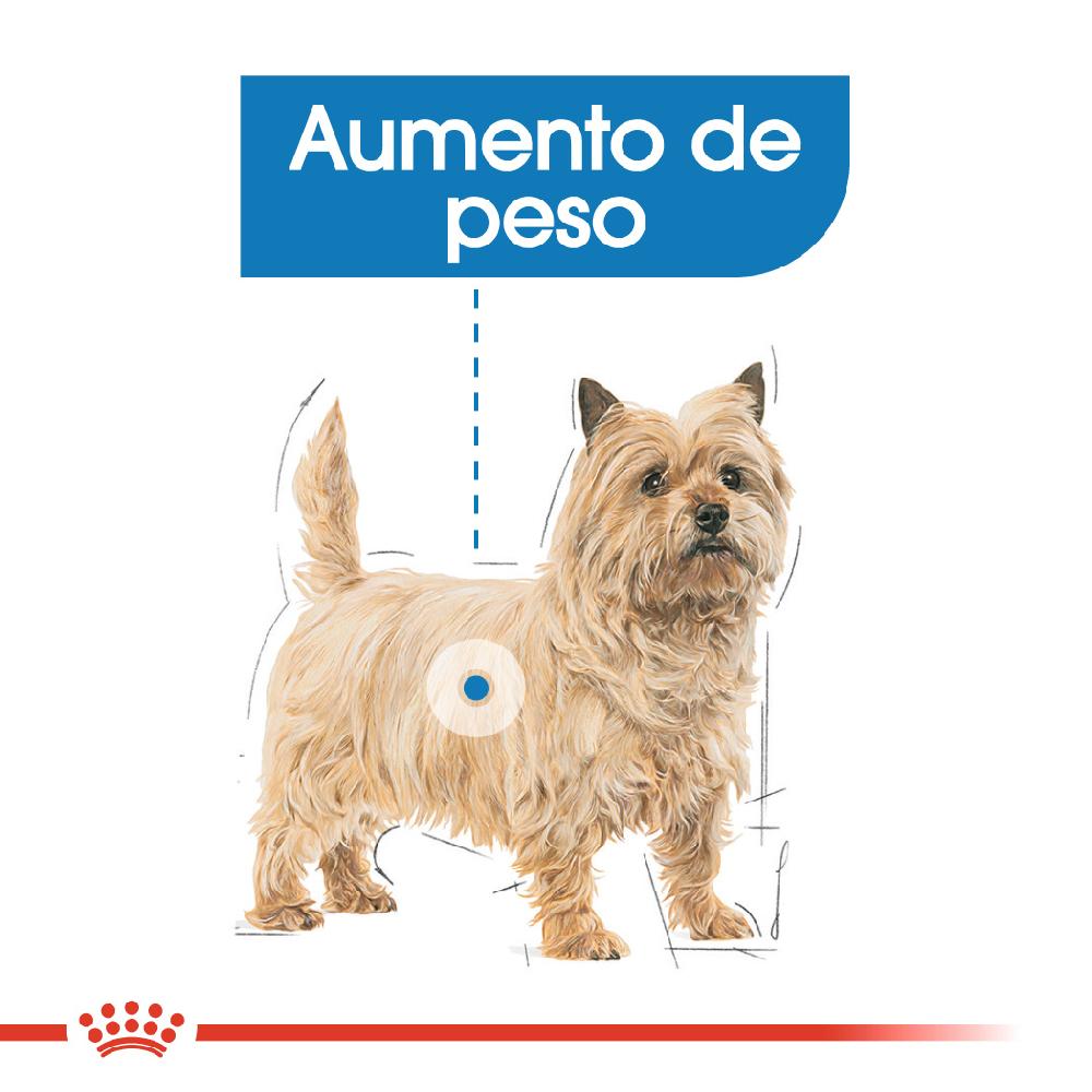 Miscota Royal Canin Cura leggera di tutte le taglie Cibo umido per tutte le taglie Italia