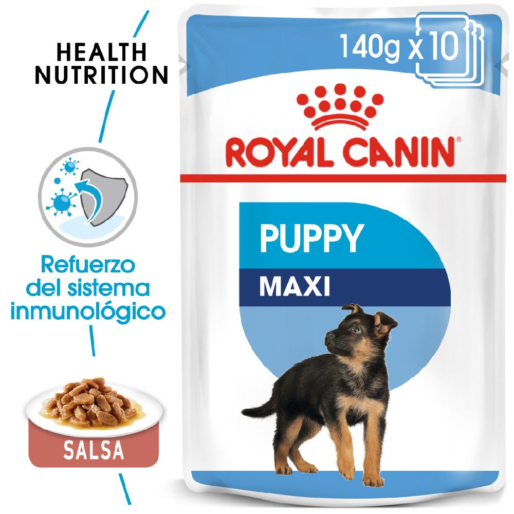 Miscota Royal Canin Maxi Puppy In Linea