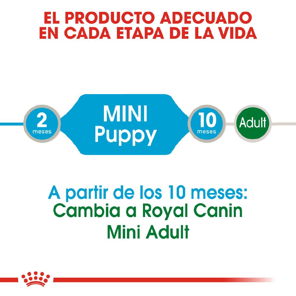 Miscota Royal Canin Comida Húmeda Mini Puppy para Perro Qualità