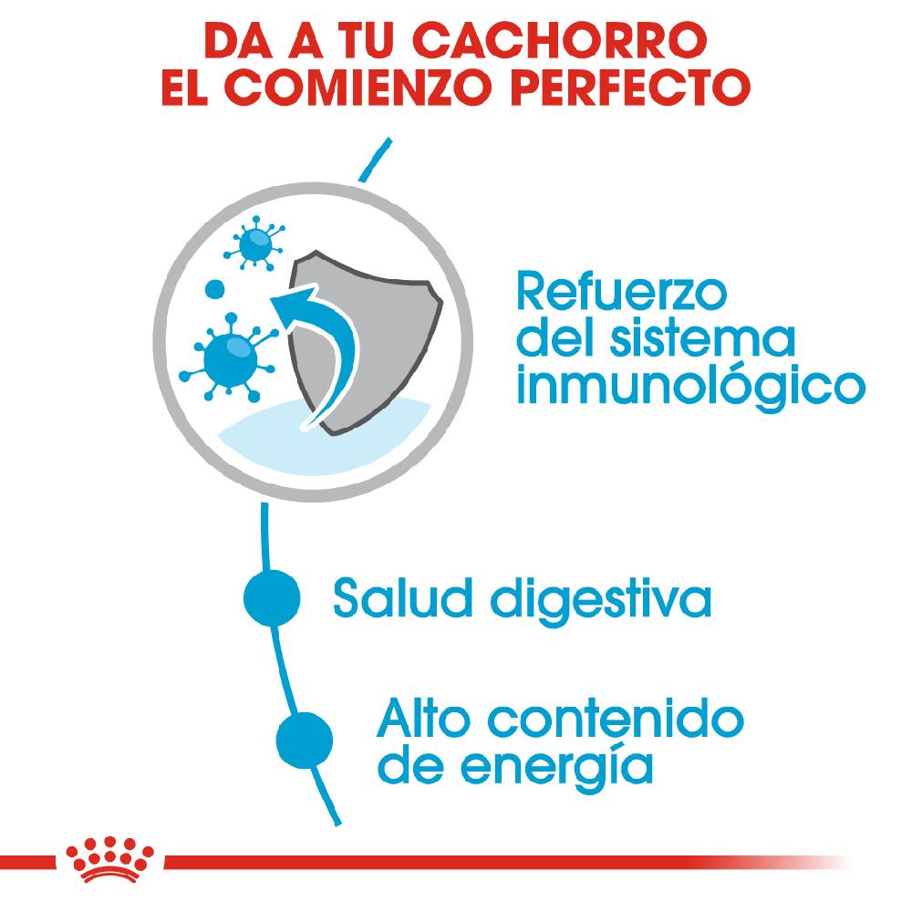 Miscota Royal Canin Comida Húmeda Mini Puppy para Perro Qualità