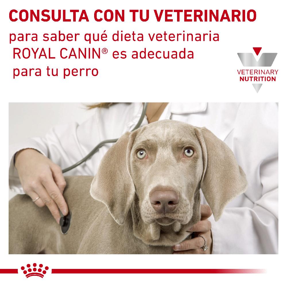 Miscota Royal Canin Cibo Umido per Cani Hypoallergenic Lattina Pezzi Unici