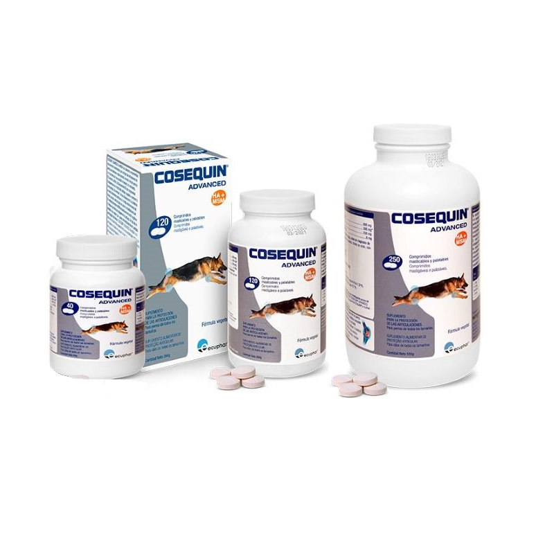 Miscota Cosequin Advanced Condroprotector Ds Msm Ha Negozi Online