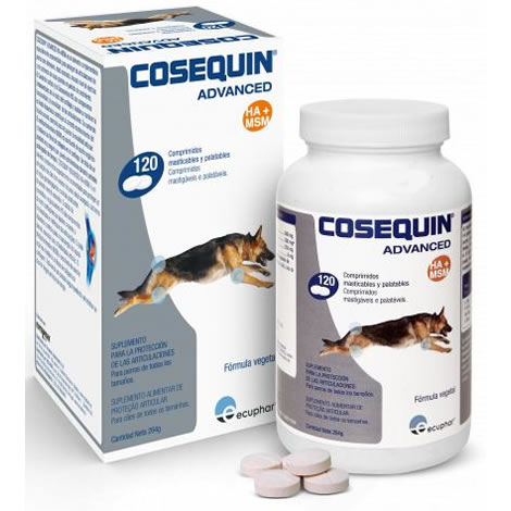Miscota Cosequin Advanced Condroprotector Ds Msm Ha Negozi Online