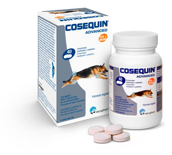 Miscota Cosequin Advanced Condroprotector Ds Msm Ha Negozi Online