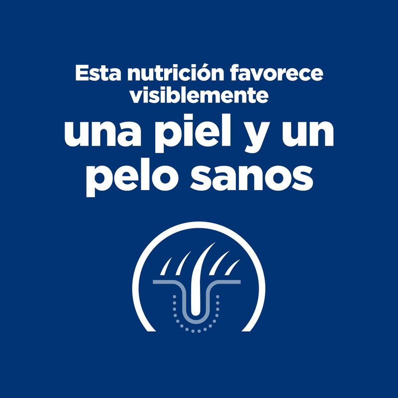 Miscota Pacco 12 Hill's Comida Húmeda Prescription Diet z/d Food Senstitives para Sensibilidades Alimentarias en Perros Consegna Veloce