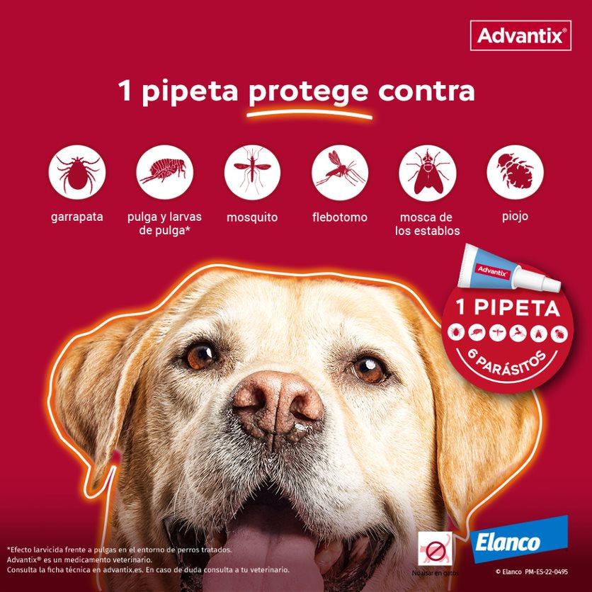 Miscota Advantix Pipetta Grande Taglia >25 Kg Sconto
