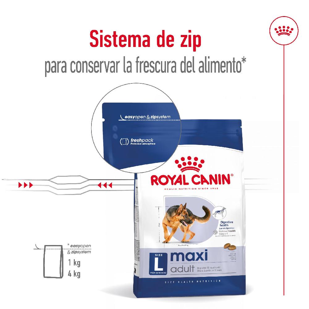 Miscota Royal Canin Maxi Adult Large Breed Dog Food per Cani Adulti di Razza Grande Economico