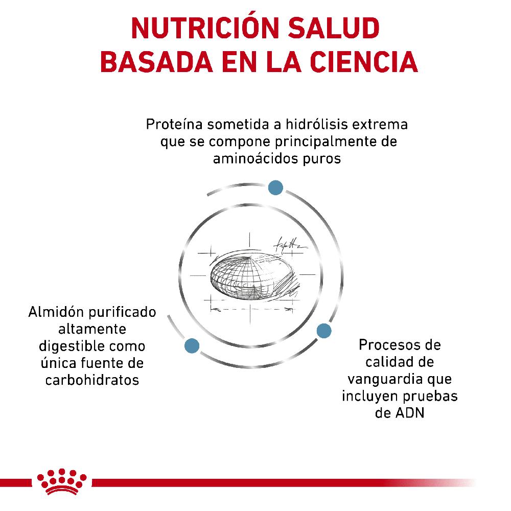 Miscota Royal Canin Cibo Secco per Cani Anallergenic Canine Saldi