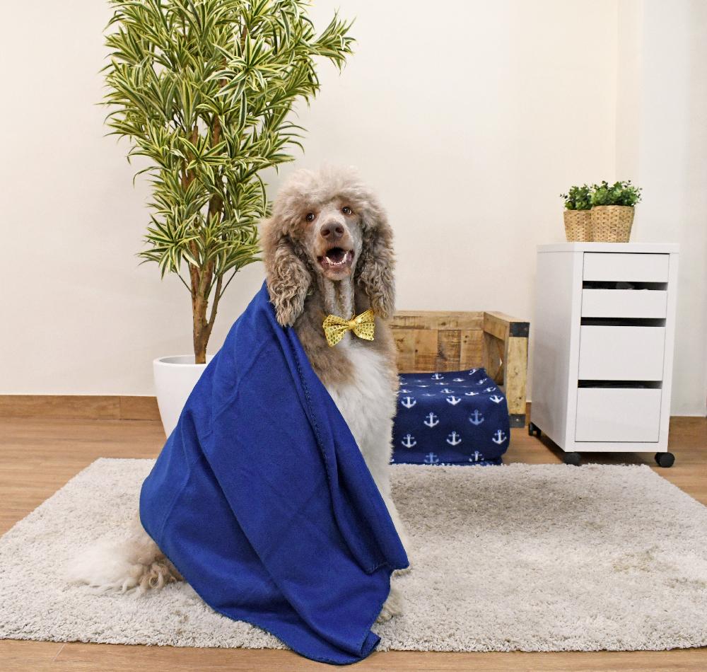 Miscota Musqui Tappeto extra morbido per cani blu navy Vendite Flash