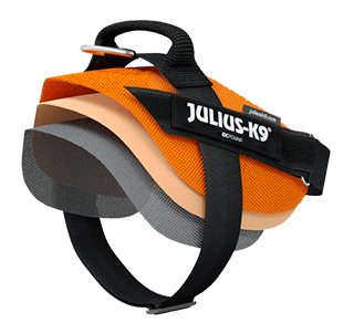 Miscota Julius K9 Imbracatura Powair Estate Azzurro Negozi Online