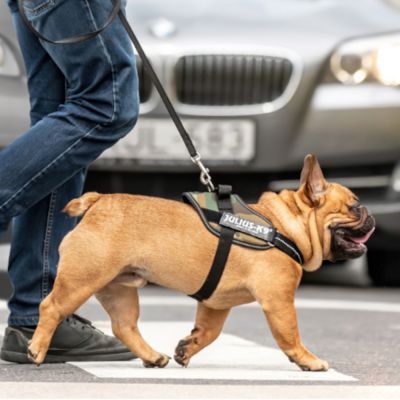 Miscota Julius K9 IDC Harness Camouflage Fino Al -60%