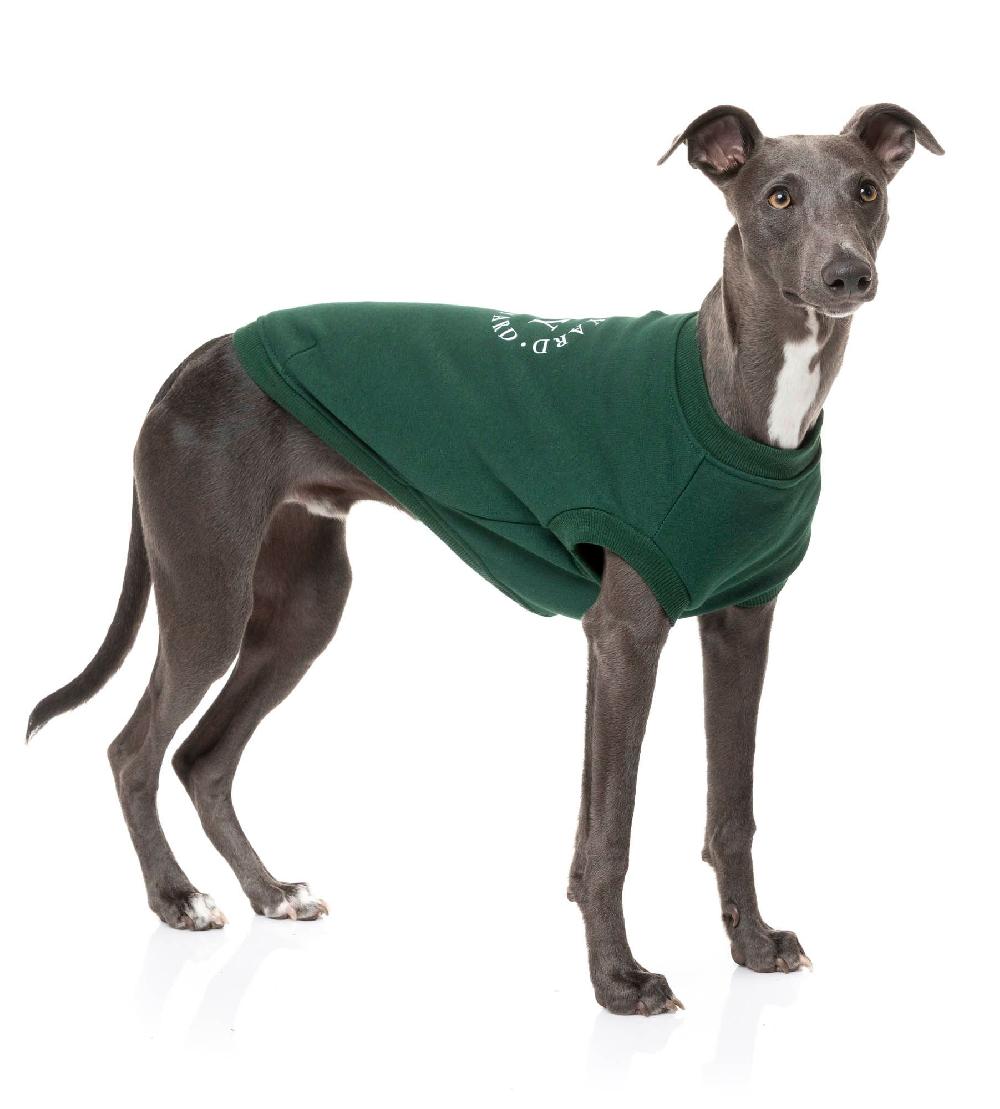 Miscota FuzzYard Maglione FY Verde Hotsell