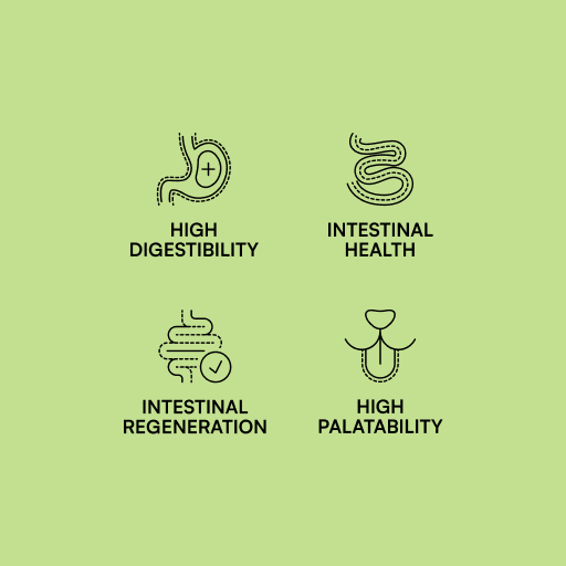 Miscota Hantu Specific Diet Gastrointestinal Vendita Calda