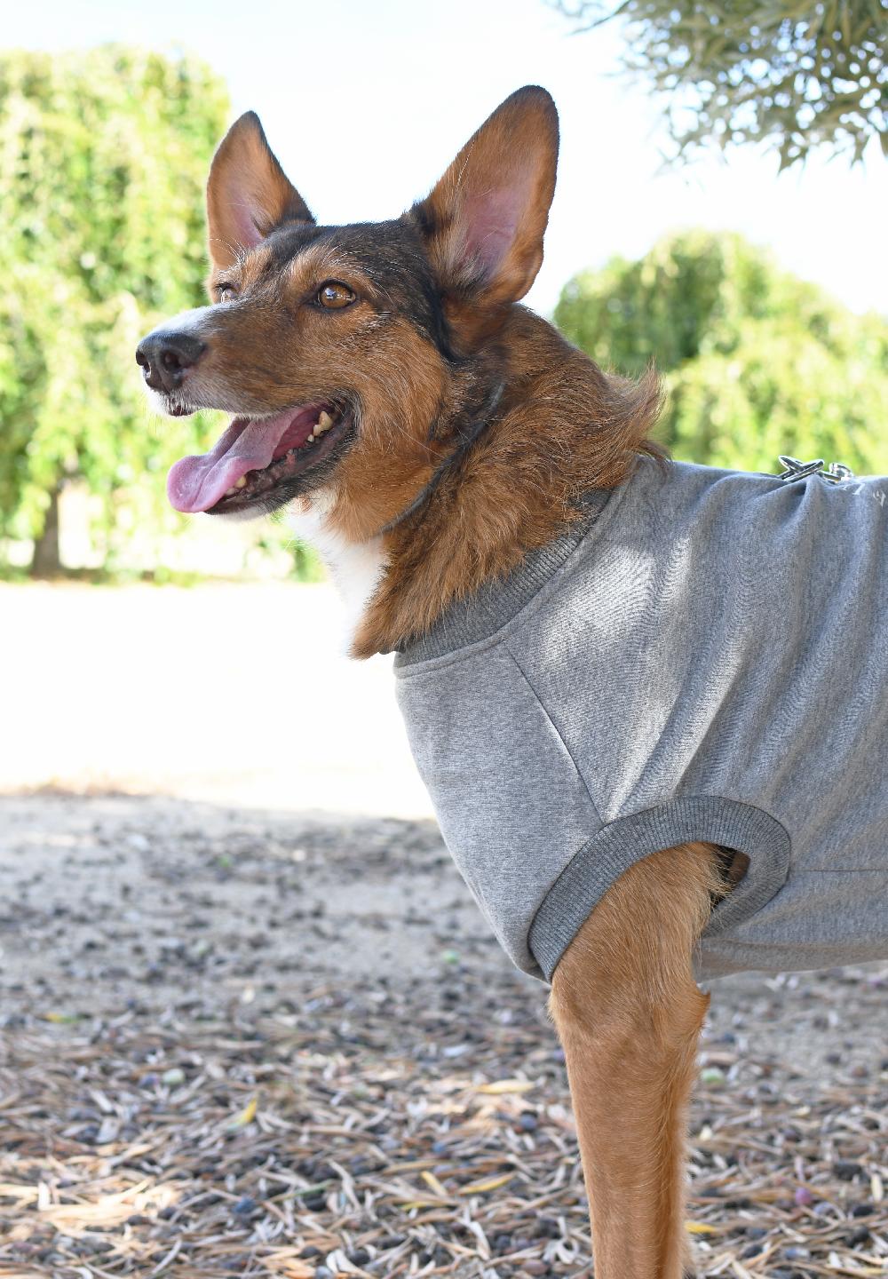 Miscota FuzzYard Maglione FY Grigio Vendite Flash