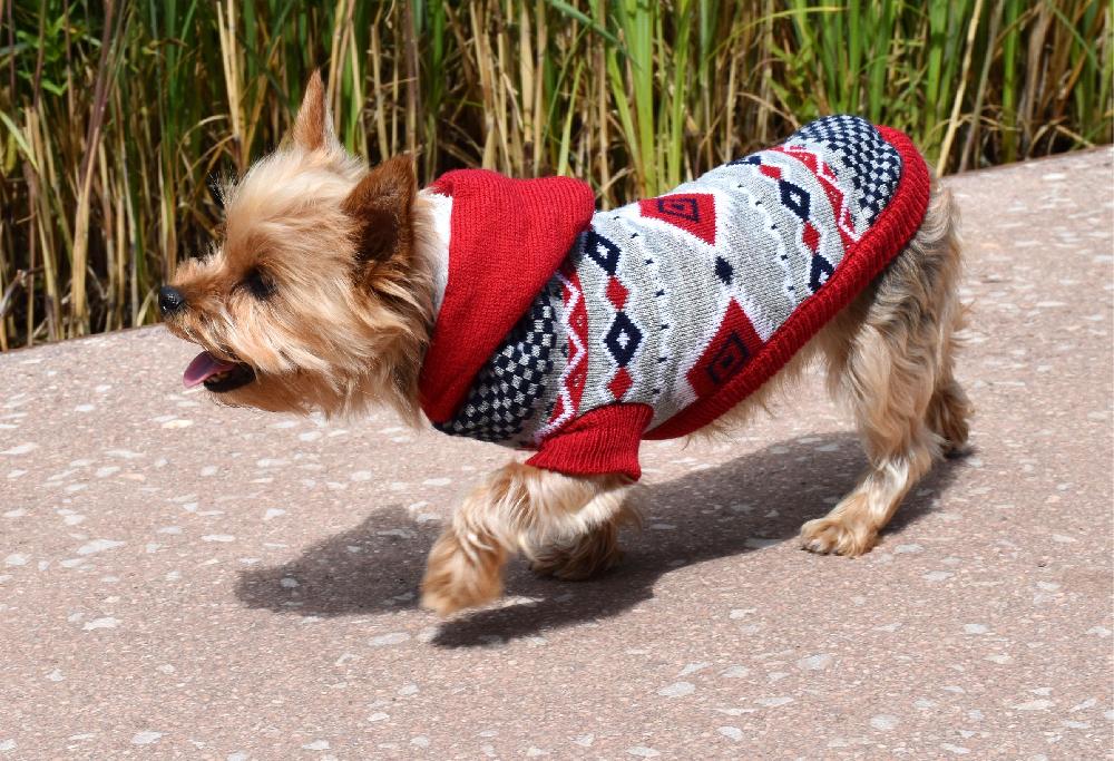 Miscota Nayeco Sweater Islandia for dogs Qualità
