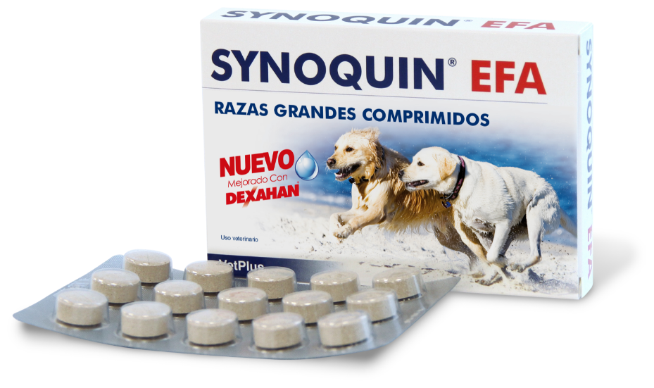 Miscota VetPlus Synoquin Joint Chondroprotector per cani di grossa taglia in compresse Soddisfazione Garantita