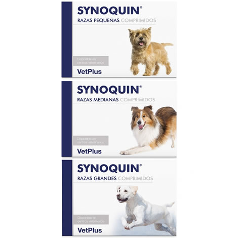 Miscota VetPlus Synoquin Joint Chondroprotector per cani di grossa taglia in compresse Soddisfazione Garantita