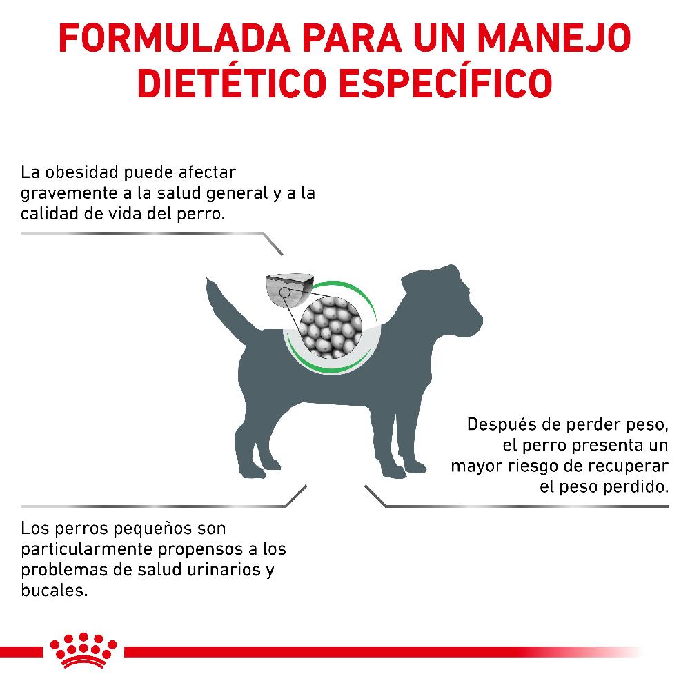 Miscota Royal Canin Cibo Secco per Cani Satiete Small Dog Qualità Garantita