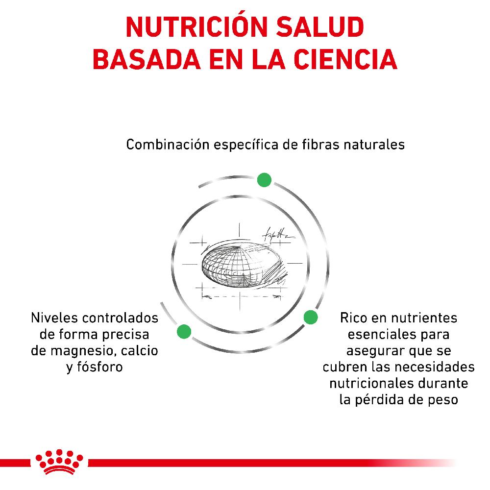 Miscota Royal Canin Cibo Secco per Cani Satiete Small Dog Qualità Garantita