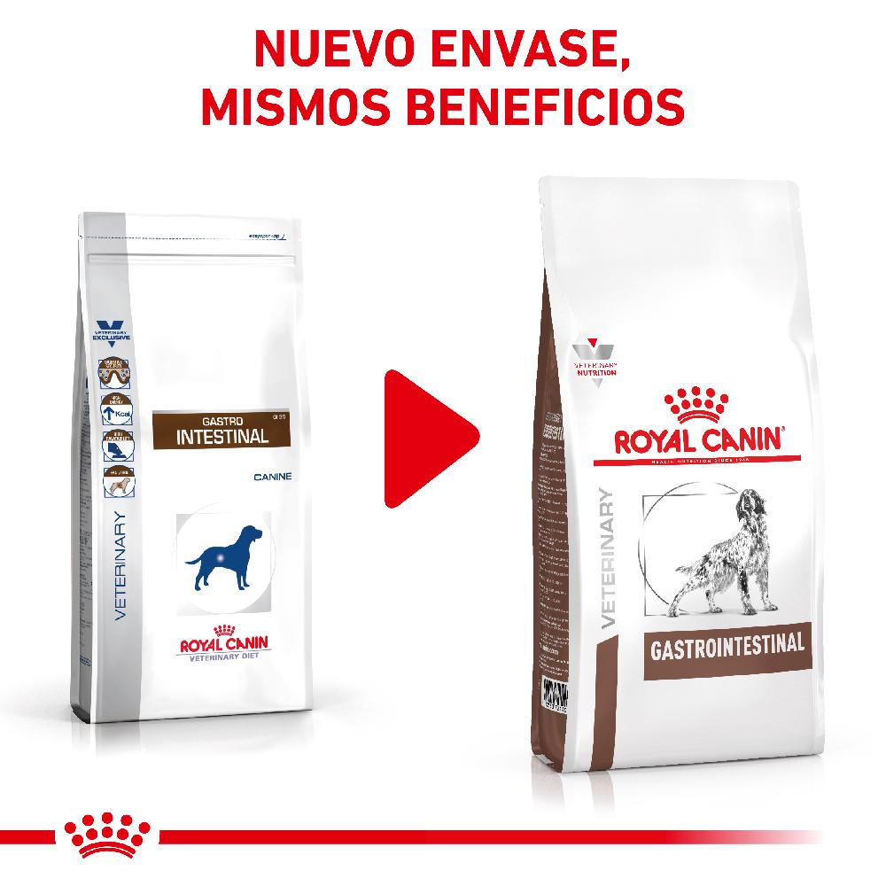 Miscota Royal Canin Cibo Secco per Cani Gastro Intestinal Canine Adult Consegna Veloce