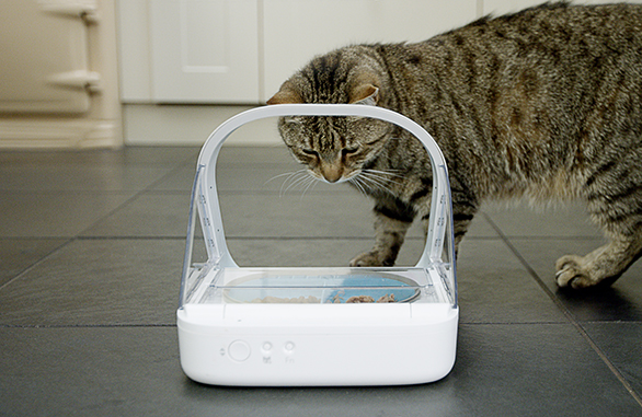 Miscota Sure Petcare Surefeed Alimentatore con Microchip Affare Del Giorno