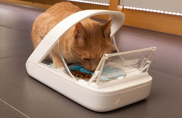 Miscota Sure Petcare Surefeed Alimentatore con Microchip Affare Del Giorno